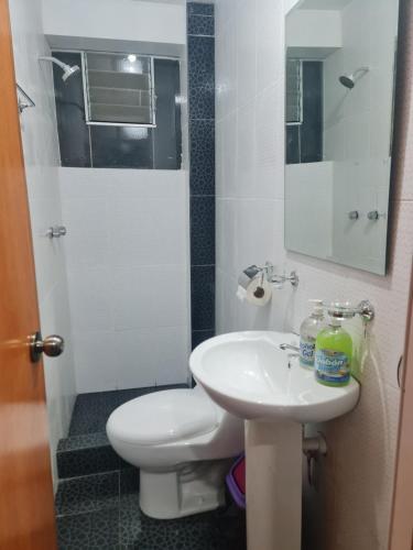 普诺Wilder host的浴室配有白色卫生间和盥洗盆。
