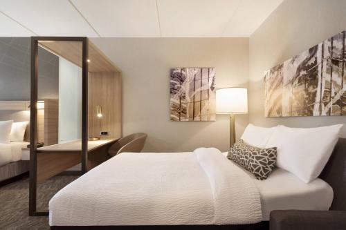 Center Valley阿伦敦伯利恒/中心谷万豪春季山丘套房酒店的配有一张床和一张书桌的酒店客房