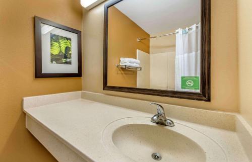梅普尔格罗夫美国延住酒店 - 明尼阿波利斯 - 梅普尔格罗夫的一间带水槽和大镜子的浴室