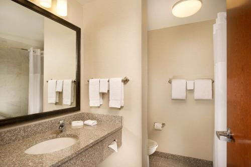 瓦尔多斯塔瓦尔多斯塔德鲁里旅馆及套房的一间带水槽、镜子和卫生间的浴室