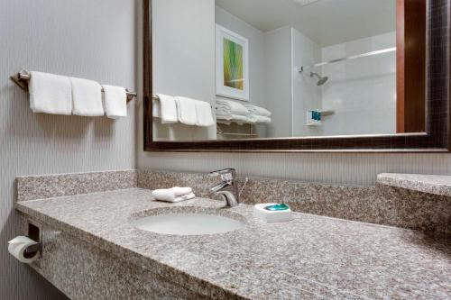 奥法伦伊利诺斯圣路易斯/奥法隆德鲁酒店的一间带水槽和镜子的浴室