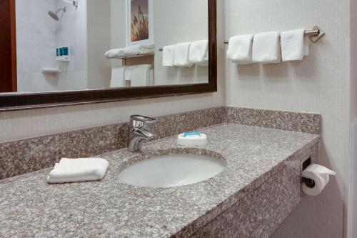 西得梅因多利西得梅因旅馆&套房的一间带水槽和镜子的浴室