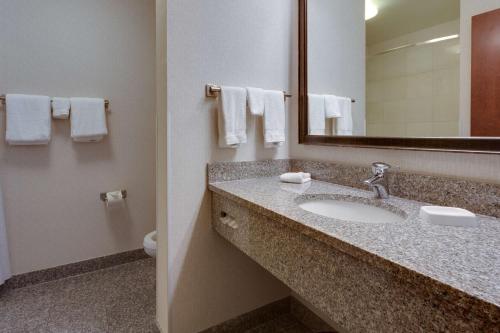 巴吞鲁日Drury Inn & Suites Baton Rouge的一间带水槽、镜子和卫生间的浴室