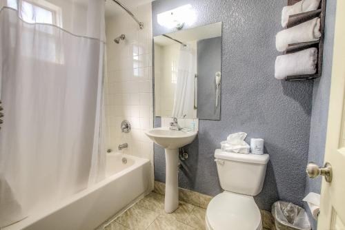代托纳海滩海滨别墅酒店的一间带水槽、卫生间和淋浴的浴室