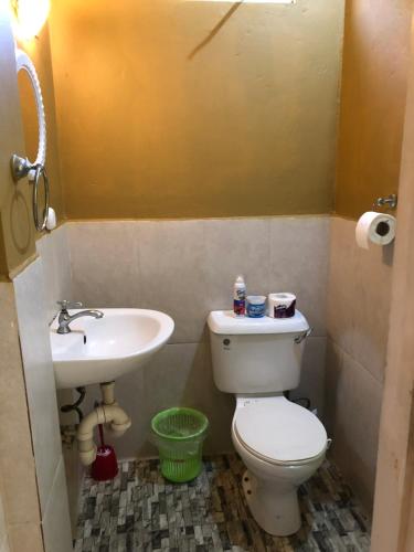 Curepe1 Bedroom Apartment的一间带卫生间和水槽的浴室