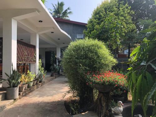 波隆纳鲁沃Senanayaka Holiday Inn的一座花园,在一座建筑前种有鲜花和植物