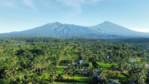 特特巴图MyHome - Lombok的山地村庄的空中景观
