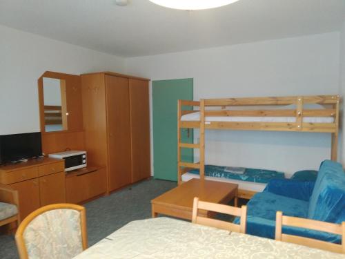 米特菲厄姆恩斯罗伊特Mezonet Almberg Apartmany JaJ的客房配有1张床和1张双层床。