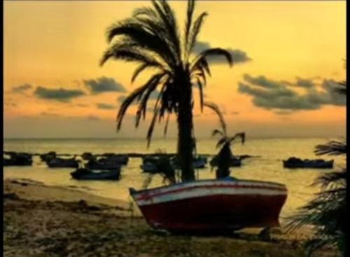 El MaamouraH.younes的海滩上的棕榈树和小船