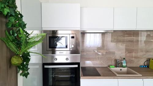 萨格勒布MINT ZAGREB的厨房配有微波炉和水槽。