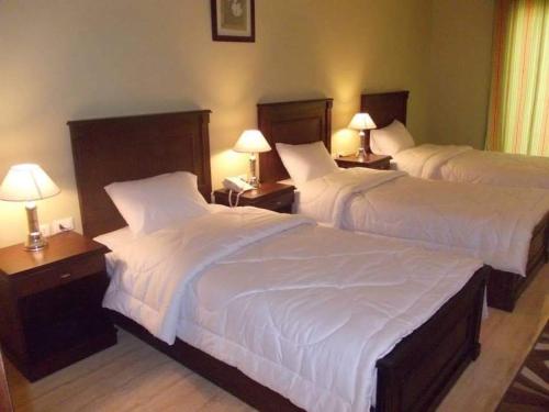 沙姆沙伊赫Sharm el shiekh sports city的配有2盏灯的酒店客房的2张床
