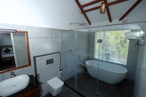 提喀迪Coffee and Pepper Plantation Homestay的一间带玻璃淋浴、卫生间和水槽的浴室
