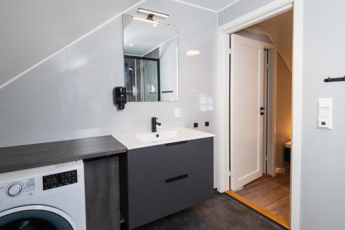 尤坎Rjukan Hytteby的一间带水槽和洗衣机的浴室