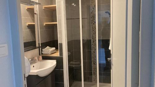勒克罗图瓦奥克斯多利斯基恩酒店的带淋浴和盥洗盆的浴室