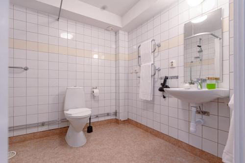 斯德哥尔摩Sodermalm Hideaway Haven的一间带卫生间和水槽的浴室