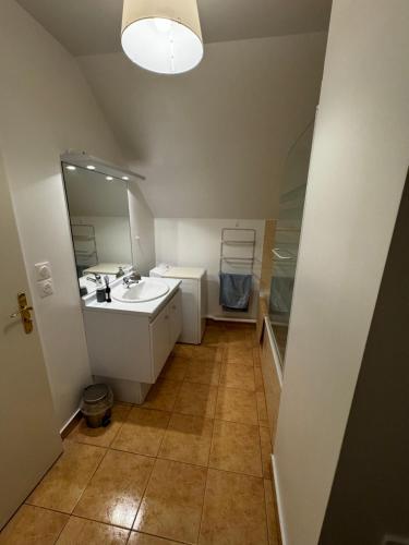 布西圣乔治Le studio du 72的一间带水槽和镜子的浴室