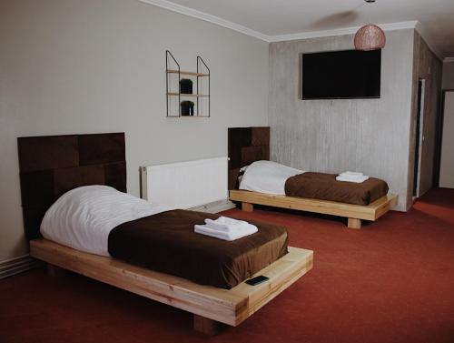 NăsăudPopasul Graniceresc的一间卧室配有两张床和一台平面电视
