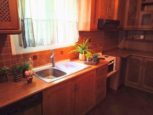 尼亚米卡尼奥纳Blue Moon Accommodation的厨房设有水槽和窗户。