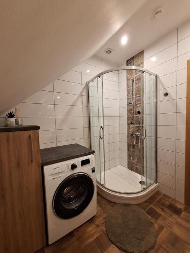 萨尔杜斯Viesu nams ADLERI的带淋浴的浴室内的洗衣机
