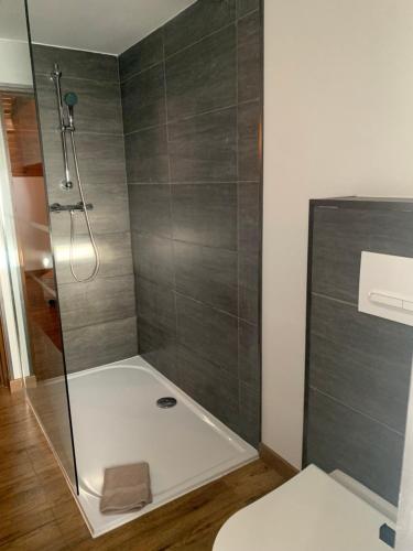 Castelnau-de-MandaillesLe Cantou的浴室里设有玻璃门淋浴