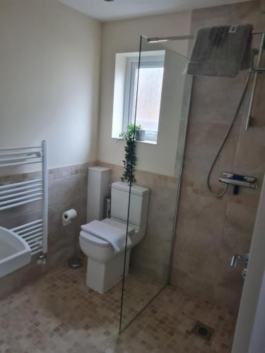 威勒尔5Bed House Wirral near Liverpool Chester的浴室设有卫生间和植物淋浴。