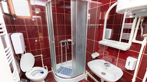 克拉多沃Etno Apartmani ''Vlaška kuća''的红色瓷砖浴室设有卫生间和水槽