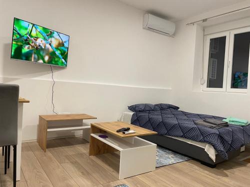 SurčinZoka的卧室配有一张床和壁挂式平面电视。
