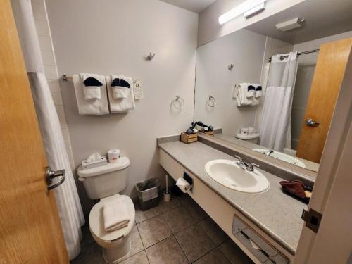 坎莫尔日落山酒店 的一间带卫生间、水槽和镜子的浴室