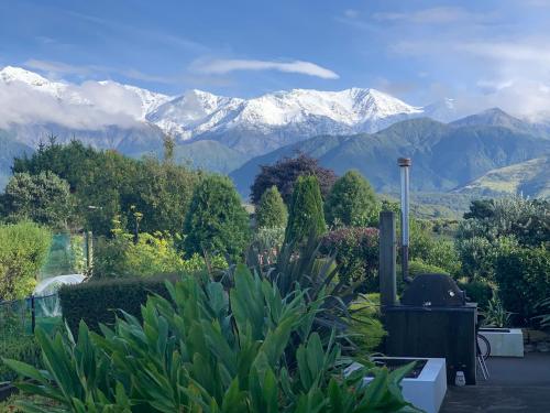 凯库拉Kaikoura Mountain Views Villa的一座花园,其背景是白雪覆盖的群山
