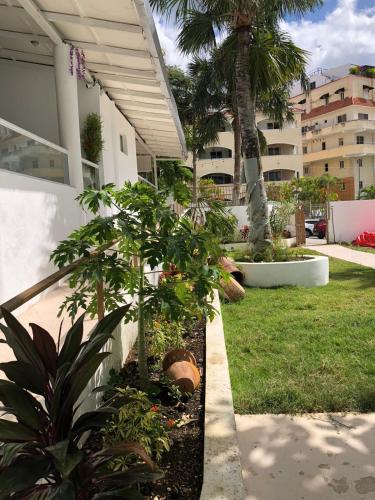 CuevasGarden Hotel的一座花园,在一座建筑前种植了棕榈树和植物