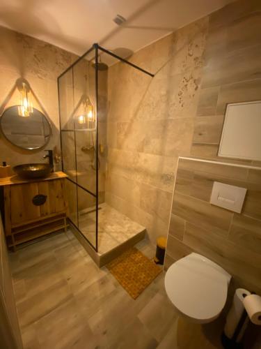 Saint-VictoretCote spa suite nord的带淋浴、卫生间和盥洗盆的浴室