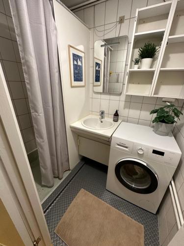 伊卢利萨特Grand seaview house Ilulissat的一间带洗衣机和水槽的浴室