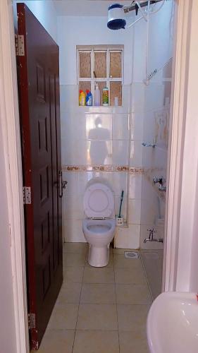 ThikaSerene Safaris Airbnb in Thika的一间带卫生间和水槽的小浴室