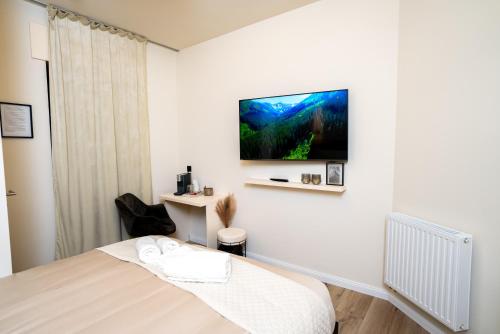 奥伯豪森Angelinas Service Apartment 1的卧室配有一张床和壁挂式平面电视。
