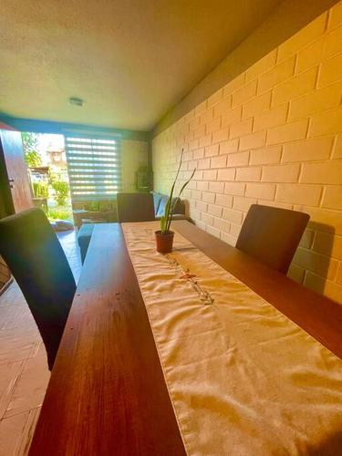 特木科Casa 2 habitaciones en Labranza - Temuco的长木桌子,椅子和盆栽植物