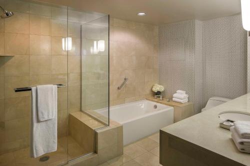 圣地亚哥圣地亚哥曼切斯特君悦酒店的带淋浴、浴缸和盥洗盆的浴室