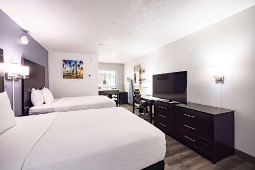 坦帕坦帕尼尔布希花园拉奎塔酒店的酒店客房设有两张床和一台平面电视。