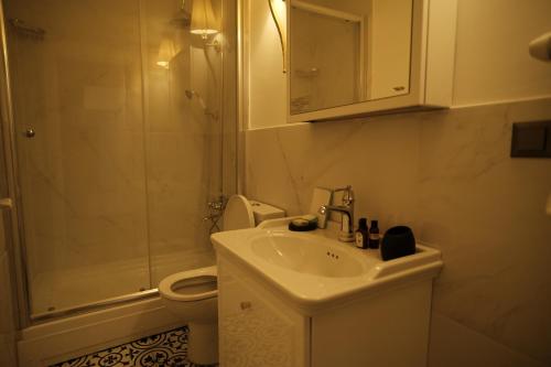 卡斯塔莫努MECİT KAPTAN KONAĞI的一间带水槽、卫生间和淋浴的浴室