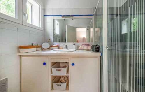凯萨尔格3 Bedroom Awesome Home In Caissargues的一间带水槽和淋浴的浴室