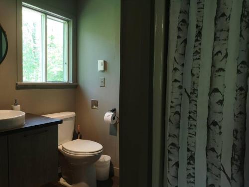 FramptonChalet Chic Shack - Un endroit paisible的一间带卫生间和淋浴帘的浴室