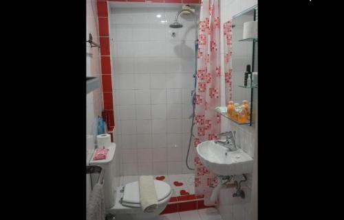 比雷埃夫斯Koùros apartment!的一间带水槽、卫生间和淋浴的浴室