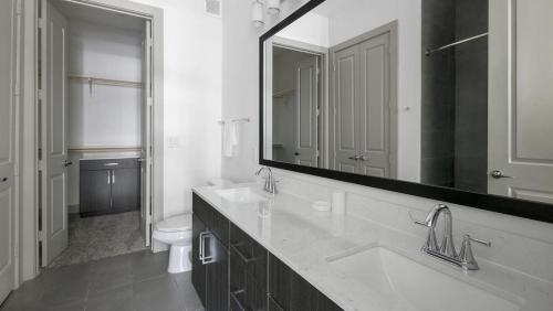休斯顿Landing - Modern Apartment with Amazing Amenities (ID1403X404)的一间带水槽、卫生间和镜子的浴室
