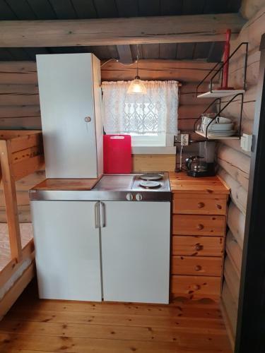 MysusæterBjørgebu Camping AS的厨房配有白色冰箱和炉灶。