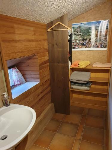 圣帕尔杜Chambre d’hôtes de Vauguenige的一间带水槽、淋浴和卫生间的浴室