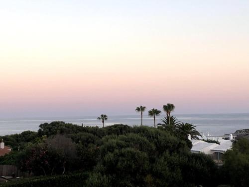 Cap d'en FontVilla Tramuntana, Contemporary and amazing villa with private pool的享有海洋和棕榈树的景致