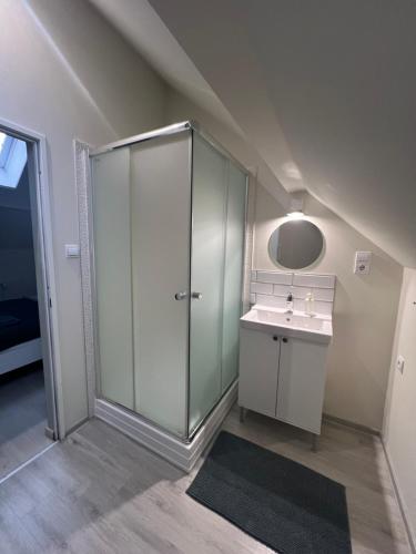 圣安德烈Bükkös Apartman的一间带玻璃淋浴和水槽的浴室