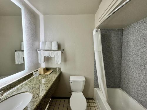 范霍恩范霍恩戴斯酒店的浴室配有卫生间、盥洗盆和浴缸。
