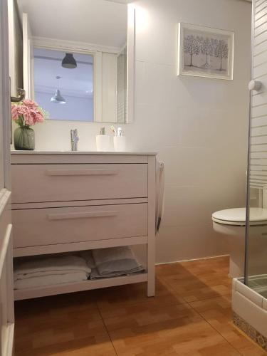 科尔多瓦Apartamento Barrionuevo的一间带水槽和镜子的浴室
