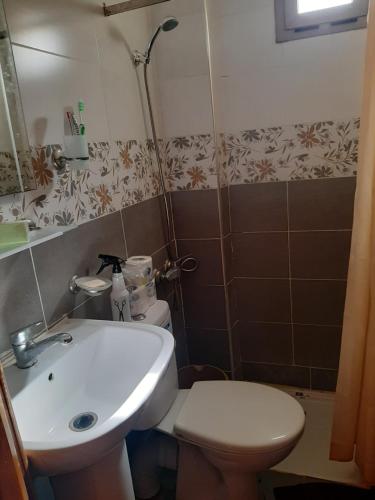 梅克内斯Charmant appartement à louer à meknès的一间带水槽、卫生间和淋浴的浴室