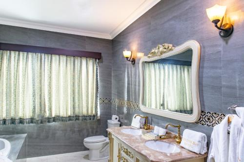 伯利兹城Golden Bay Belize Hotel的一间带水槽、镜子和卫生间的浴室